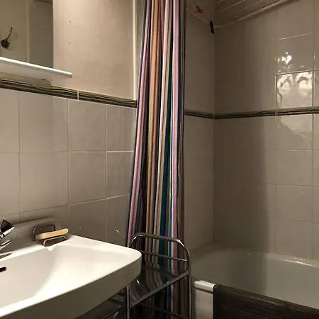 Rustique Pour 11 Pers, Acces Direct Pistes, Animaux Admis, Wi-fi - Fr-1-757-126 * Peisey-Nancroix
